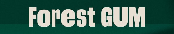 Forest Gum - Ohne Plastik!