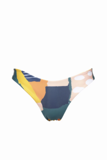 Boochen Bikinihose Arpoador Painting/Dolphin
